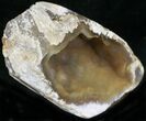 Agatized Fossil Coral Geode - Florida #22423-2